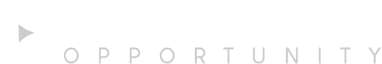 Playground Equipment Franchise